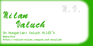 milan valuch business card